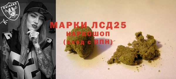 spice Балахна