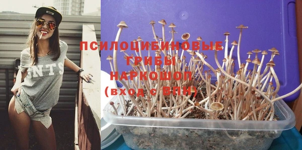 ГАЛЛЮЦИНОГЕННЫЕ ГРИБЫ Баксан