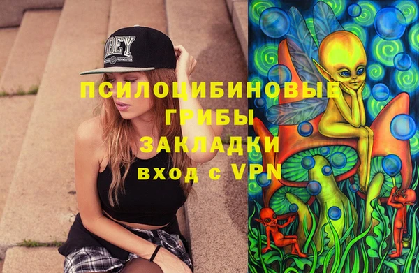 ГАЛЛЮЦИНОГЕННЫЕ ГРИБЫ Баксан