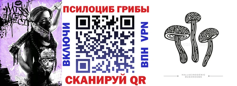 Галлюциногенные грибы мицелий  KRAKEN ссылки  Белёв 