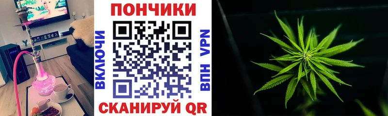 Каннабис план  Белёв 